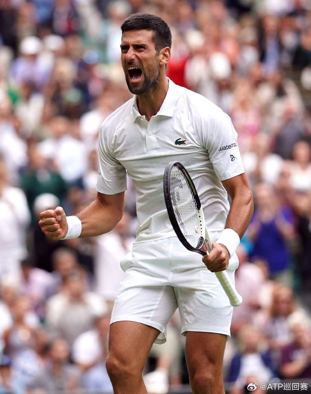 仅战胜了强 仅战胜了强