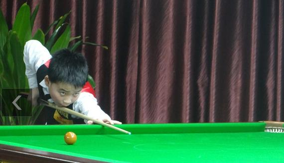 毛球已经十 毛球已经十