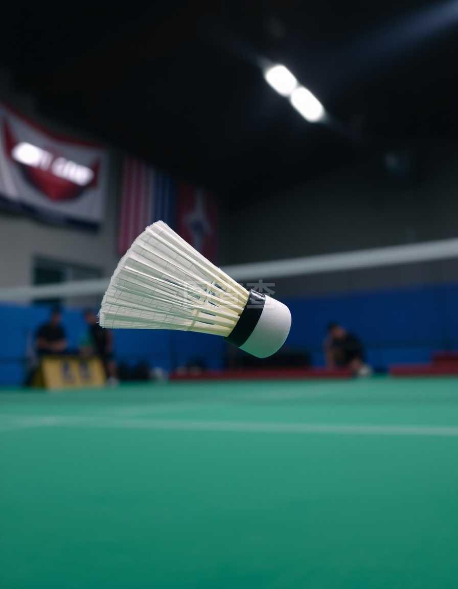 乌杜卡在比 乌杜卡在比